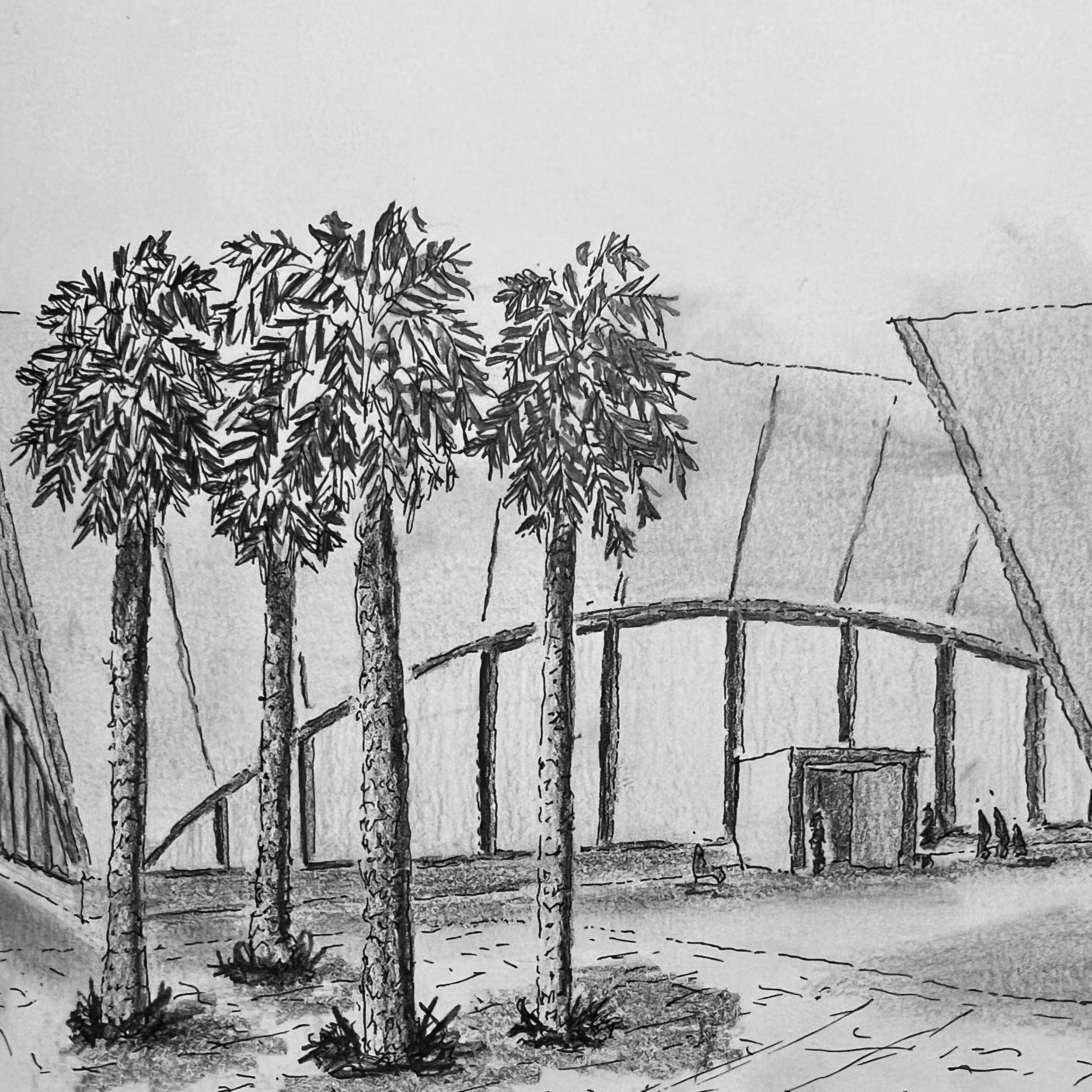 Winter Park Library sketch from Winter Park, Florida